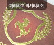 유광금박